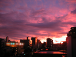 500sunset06-8-8~4.png